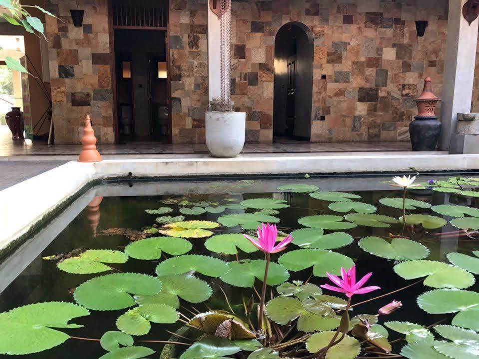 Jasmin Villa Ayurveda Resort Negombo Zewnętrze zdjęcie